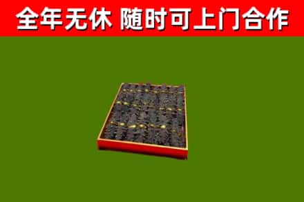 新野县回收海参
